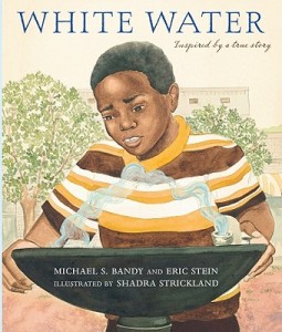 White-Water(Book)